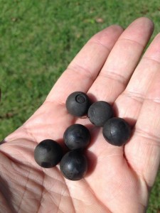 rubber bullets