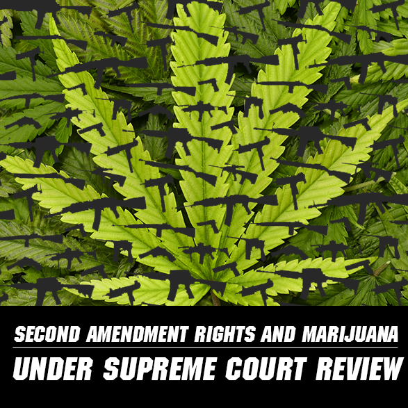 Legality of Gun Bans for Marijuana Users Up For Review
