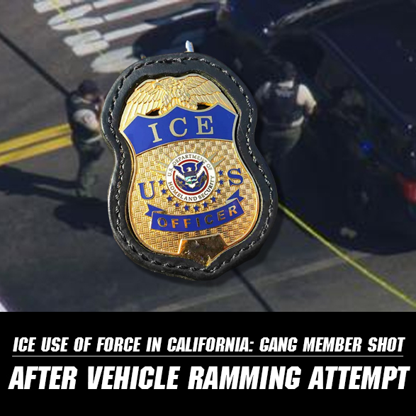 CA ICE Shooting: Suspect Hospitalized After Trying to Run Over Federal Agent