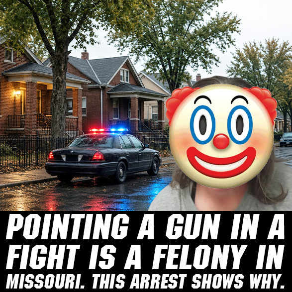 St. Louis Woman Charged in Armed ICE Threat